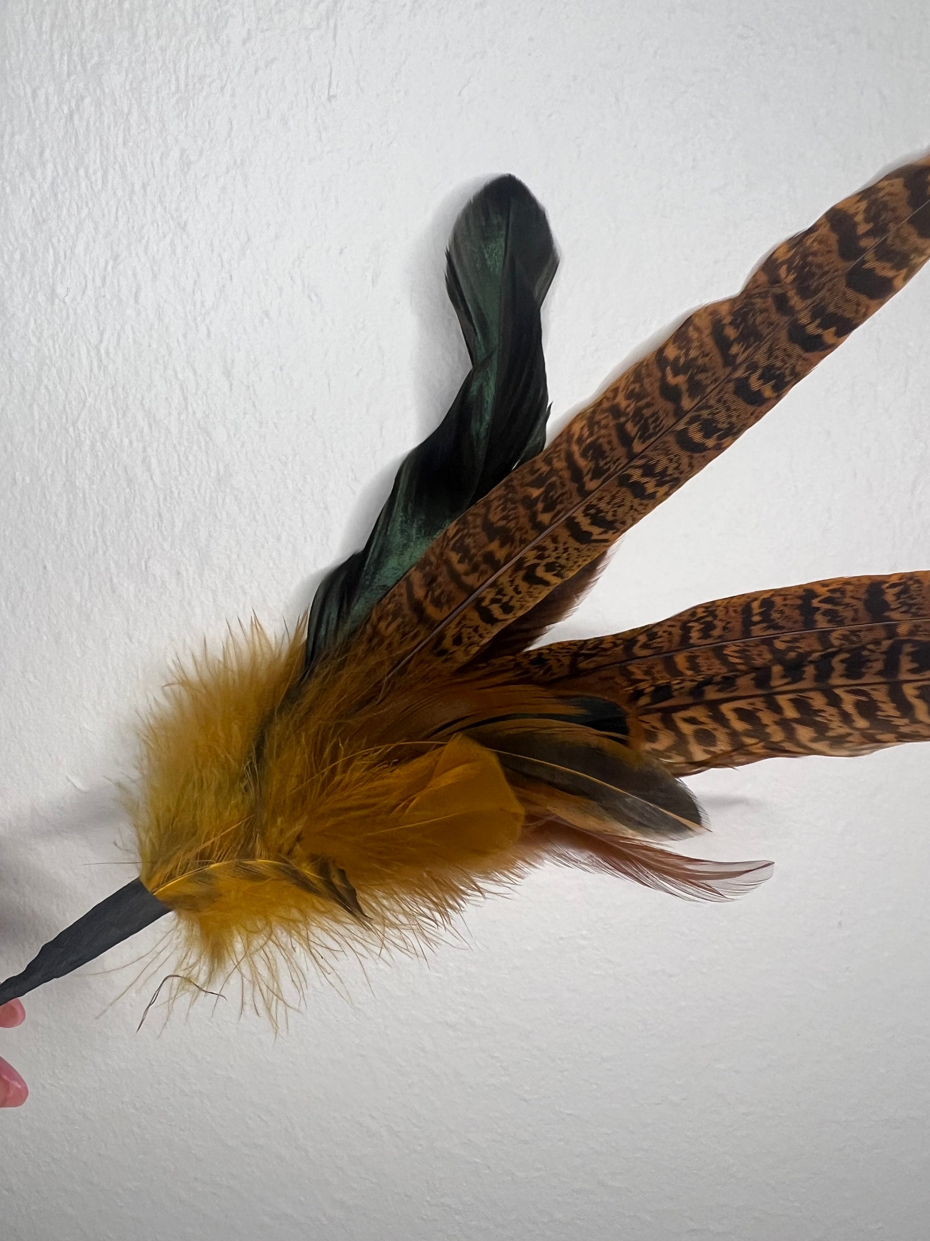 Feather Accents