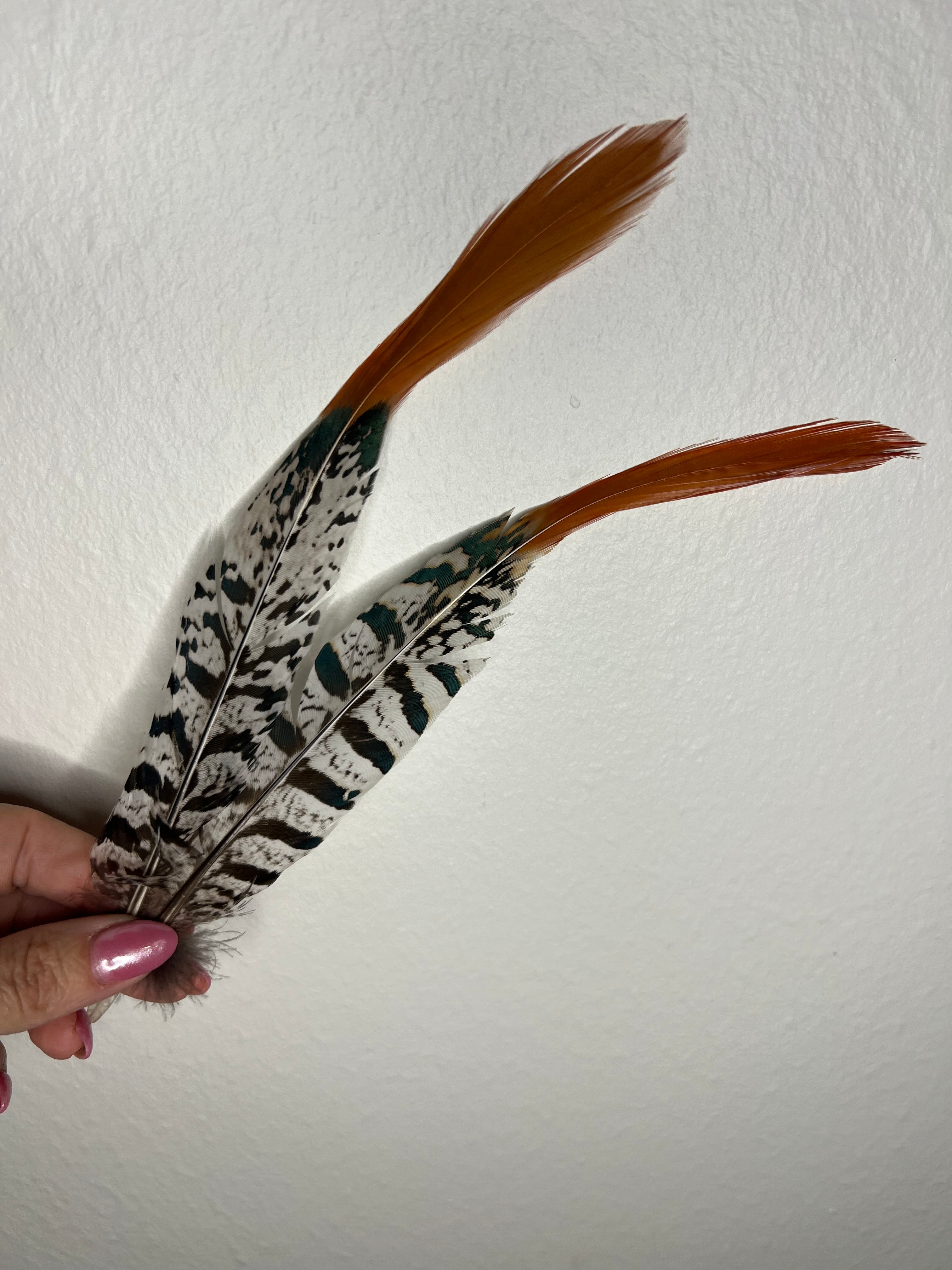 Feather Accents