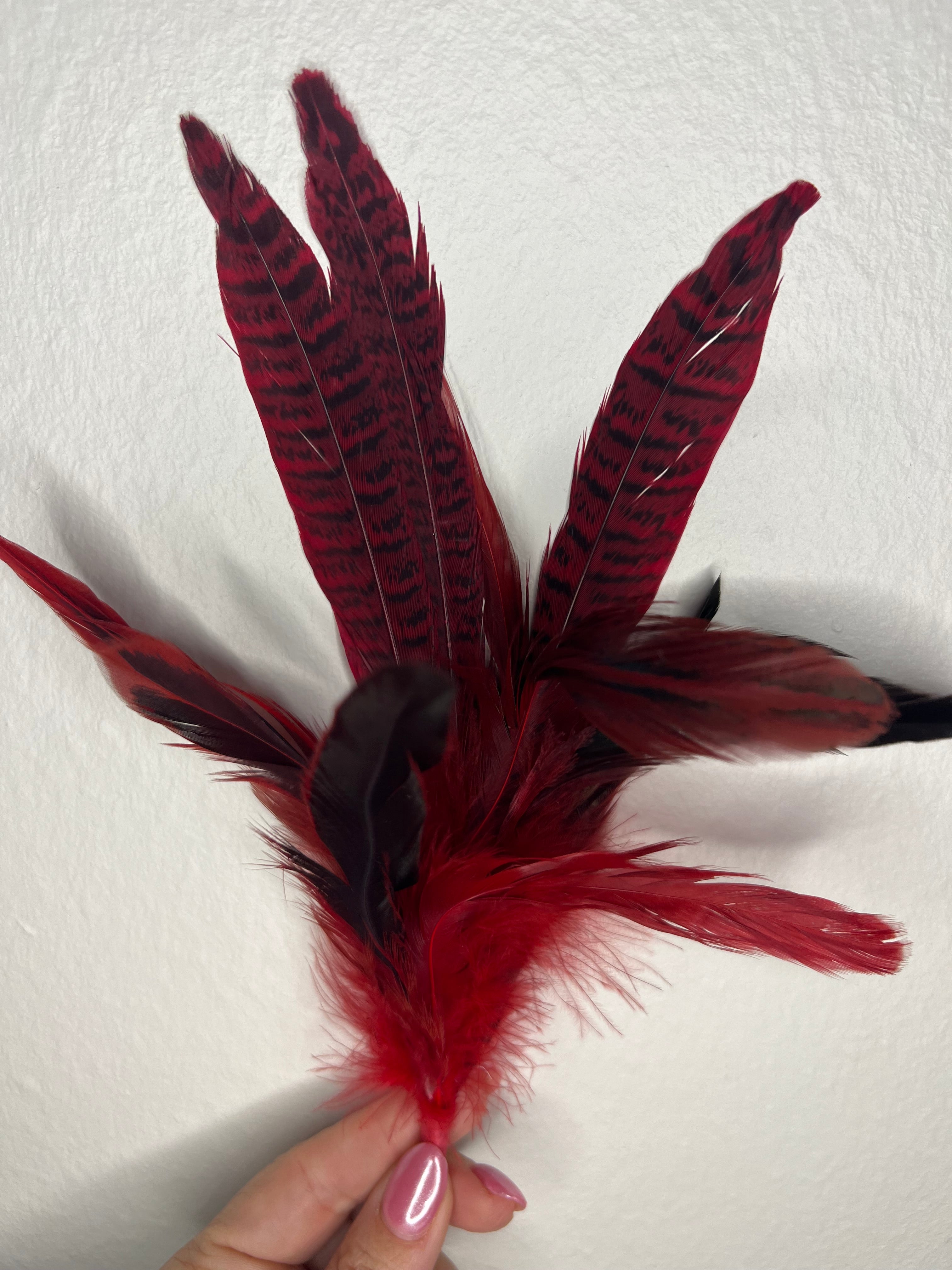 Feather Accents